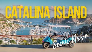 Don't Miss This Scenic Golf Cart Ride  Around Catalina Island!