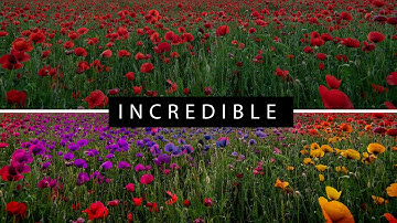 New Lightroom Feature - How to Change COLORS LOCALLY on your Photos