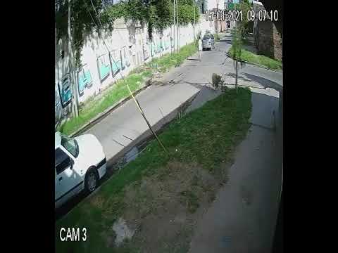 video 1615824896