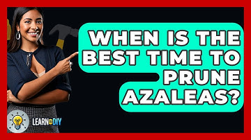 When Is The Best Time To Prune Azaleas? - LearnToDIY360.com