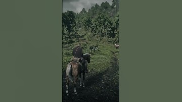 Pinkerton Checkpoint Surprise - #rdr2 #shorts