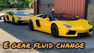 Lamborghini Aventador E-Gear fluid change