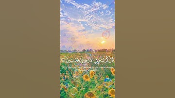 القارئ إسلام صبحي || من سورة المؤمنون