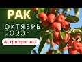 ГОРОСКОП для  знак Рак на октябрь 2023г