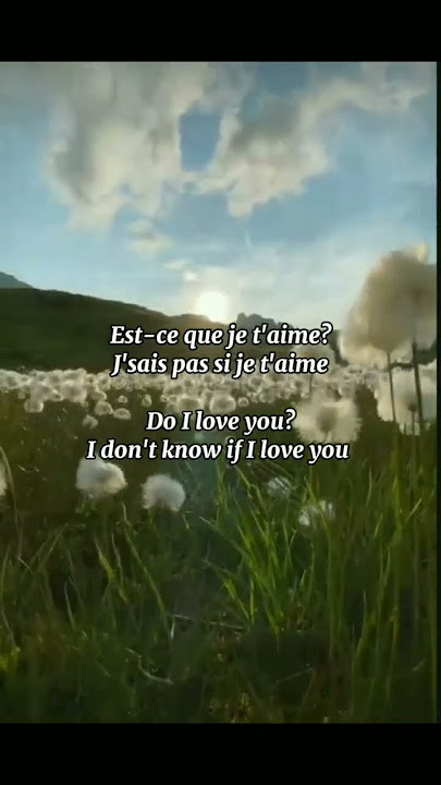 Maître Gims - Est-ce que tu m'aimes (with English lyrics)