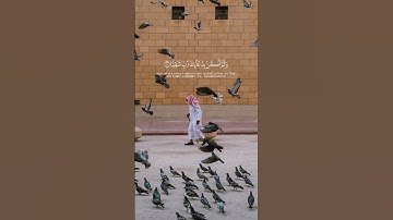 ( قال رب اني وهن العظم مني واشتعل الرأس شيبا ) غيث سمرين-سورة مريم - اللهم صلِّ وسلم على نبينا محمد