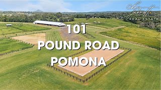 WORLD-CLASS EQUESTRIAN ESTATE | A ONCE-IN-A-LIFETIME OPPORTUNITY! 101 Pound Road, Pomona.