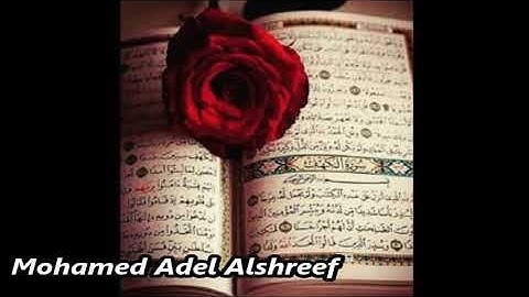 سوره النمل : بصوت القارئ : محمد عادل