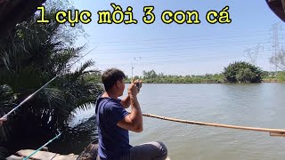 ✅ Câu cá thiên nhiên Sông Sài Gòn dễ ẹc , 1 cục mồi 3 con cá | DUY FISHING