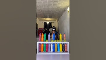 The most smart Entertaining 12 Bottle Color Matching Challenge Ever