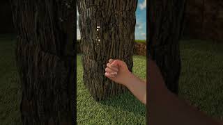 Minecraft RDX graphics || #viral #viral #short