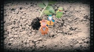 Planting Basylicum with Kermit, Gonzo and Fozzie