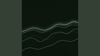 Root Water Echo