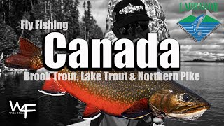 W4F  Fly Fishing Labrador  Brook Trout at Northern Lights Fishing Lodge