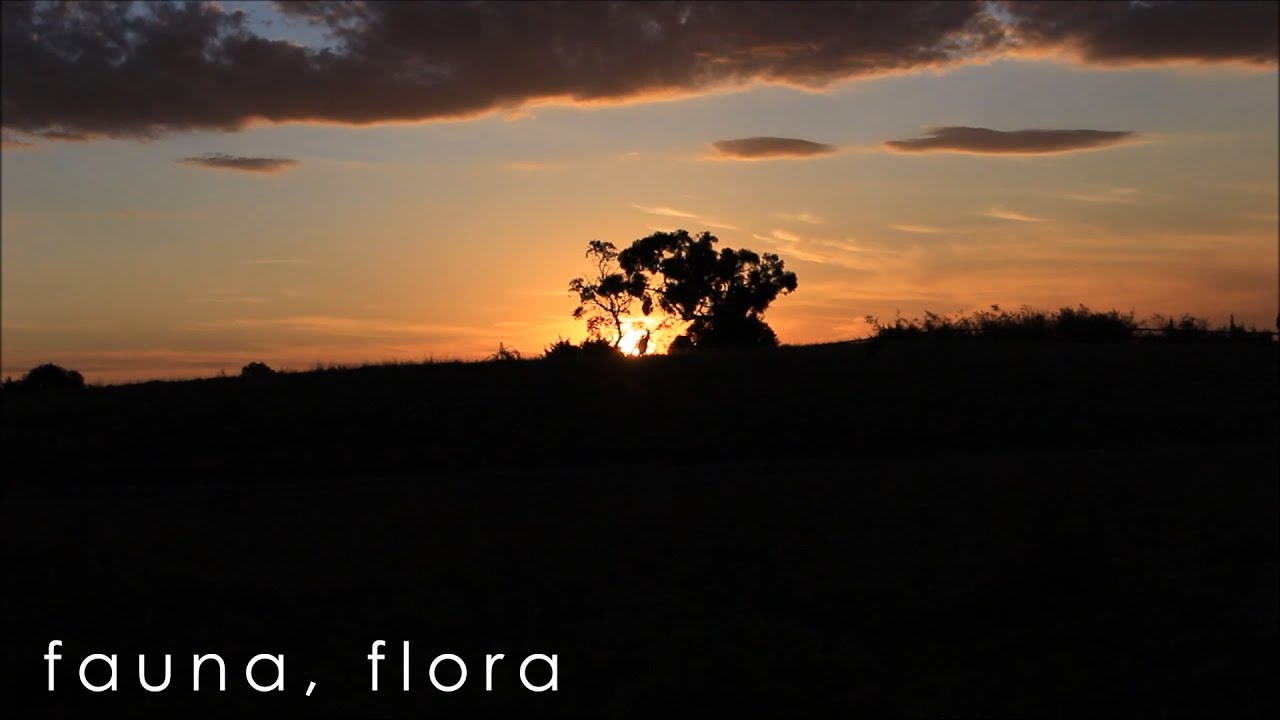 Garden Australia YouTube