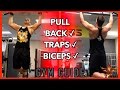 PULL Workout "Back ✓ Traps ✓ Biceps ✓" (Gym Guide Continuation)