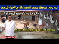 देशी बकरी+देशी मुर्गी+मछली पालन विशाल स्तर पर‌ एक साथ ।। Deshi Bakri+Deshi Murgi+ Fish Farming