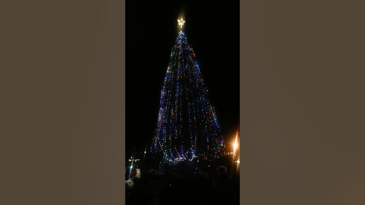 Idyllwild christmas tree lighting YouTube