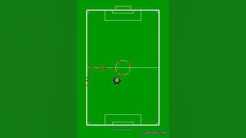 Monte Carlo (Self-)Localization of a soccer playing robot using Omni-Cam