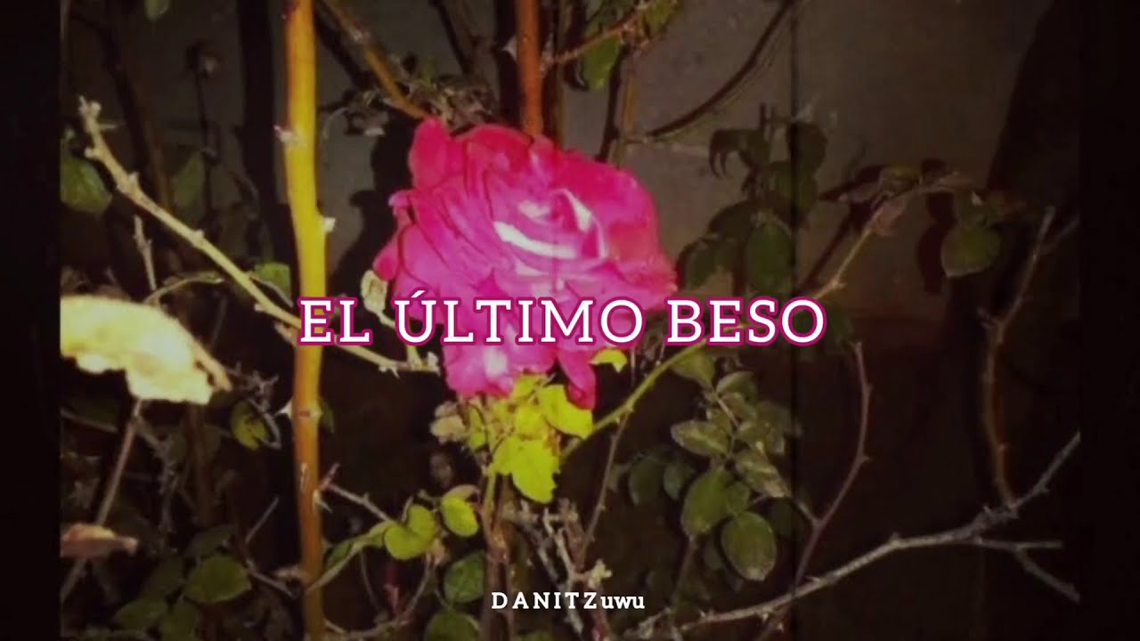 El ultimo beso- Leo Dan (LETRA) - YouTube