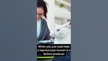 Thumbnail of When your human is Amelie Lens 🐈