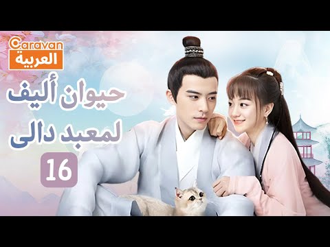 حيوان أليف لمعبد دالى        الحلقة  العربية 