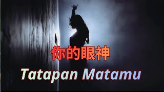 Download Lagu 你的眼神～Tatapan Matamu MP3