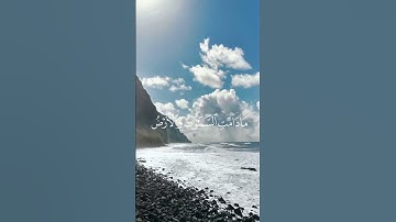 سورة هود ماهر المعيقلي #قرآن