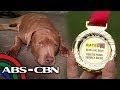 Bayani si Doggie | Rated K