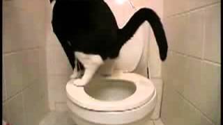 Les Prof 2 Le Film Entier En Français