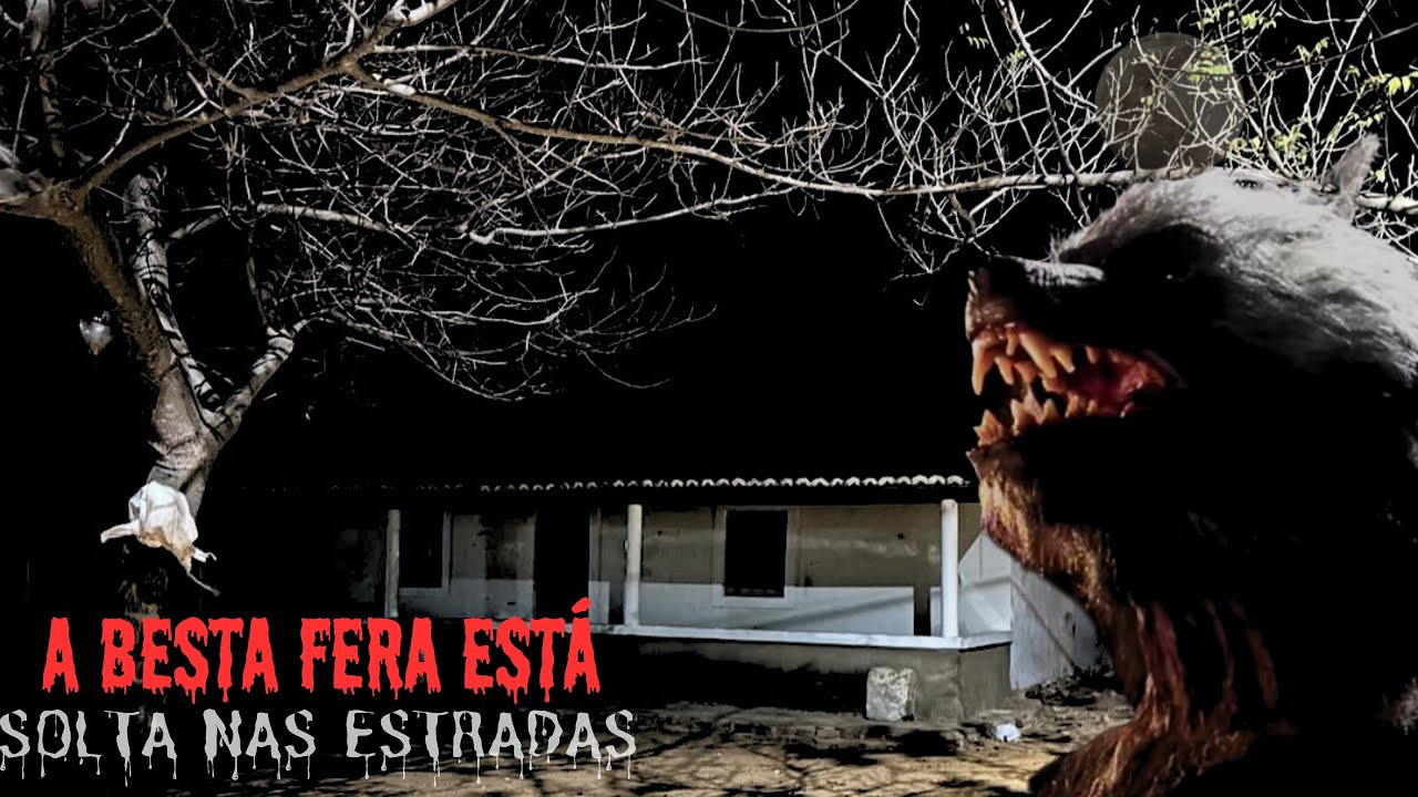 O TEIMOSO SEU RUI E A BESTA FERA NA ESTRADA DO SERTÃO PARAIBANO.