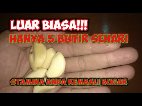 Buktikan 7 Khasiat Rutin Makan Campuran Madu Dan Bawang Putih Buktikan 7 Khasiat Rutin Makan Campuran Madu Dan Bawang Putih