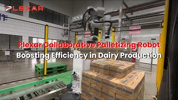 Plexar Collaborative Palletizing Robot, Boosting Efficiency in Dairy Production