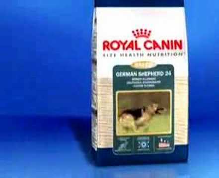 CÃ©lÃ©brissime pub de Royal Canin avec comme musique de fond le fameux "Chi Mai" d'Ennio Morricone