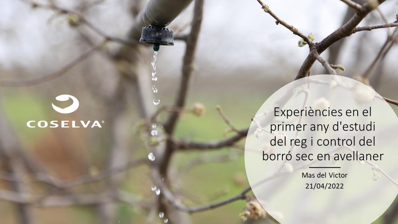 Jornada Tecnica -Experiències en el primer any d'estudi del reg i control del borró sec en avellaner