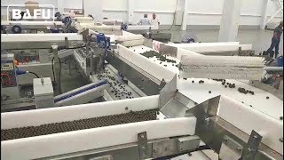 candy Conveyor feeder,candy conveyor, candy packaging machine