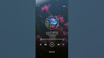 رَبَّنَا وَآتِنَا مَا وَعَدتَّنَا عَلَى رُسُلِكَ || ياسر الدوسري || #قران_كريم #قرآن #تلاوات