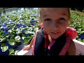 A Boat Tour of the Okefenokee Swamp