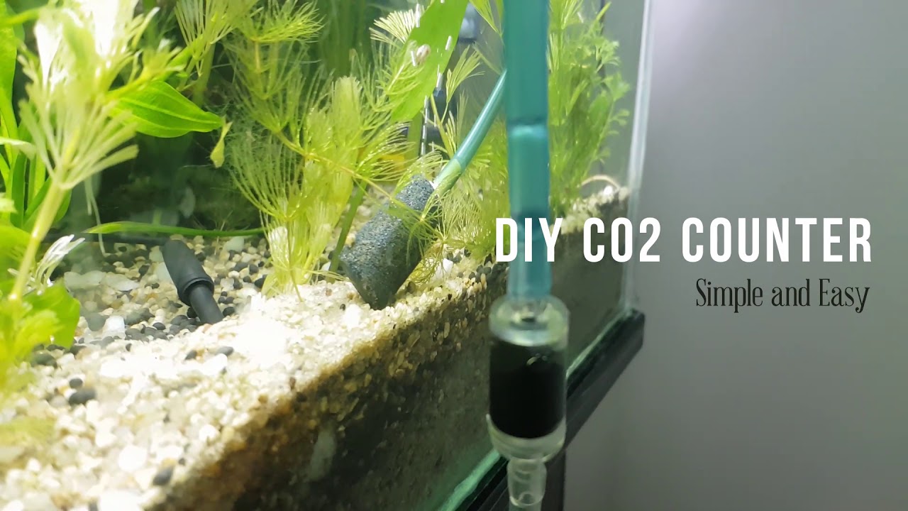 DIY CO2 bubble counter YouTube