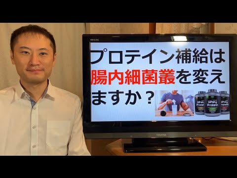 プロテインは腸内細菌叢を変えますか 栄養チャンネル信長 Youtube