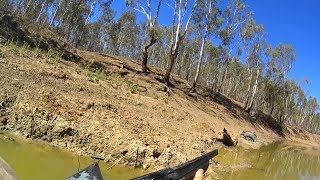 Hunting pigs in the wilds of NSW Australia. Viewer discretion advised.