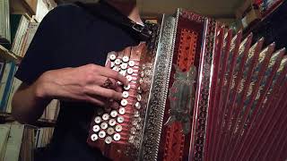 Two White Roses Polka