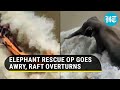 Video: Journalist dies during elephant rescue operation in flooded river as boat overturns