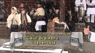 Calin Brateanu - Cosnencuta (2008) chords