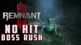 Remnant 2 NO HIT Boss Rush | 19 Bosses | Apocalypse