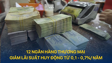 12 ngân hàng thương mại giảm lãi suất huy động từ 0,1 - 0,7%/ năm | VTVIndex