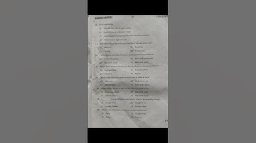 Bcom 1,st Semester Digital Fluency (SEC) Question Paper #exam #bcom 2023