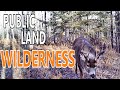 Wilderness public land bucks 3 traits of my best spot