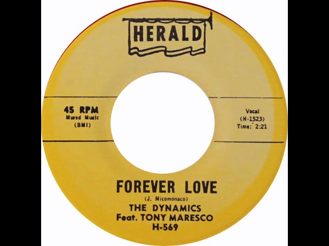 Dynamics (Feat Tony Maresco) - Forever Love
