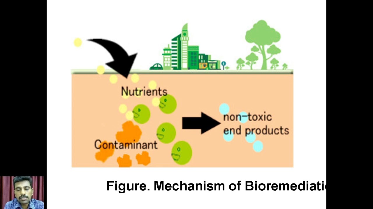 Introduction to Bioremediation | Environmental Biotechnology | V.H.N.S.N.College (Autonomous)